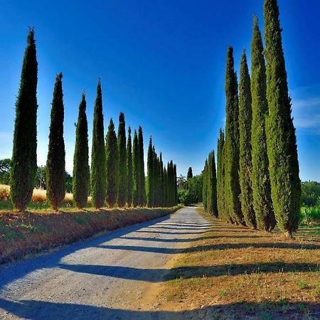 Agriturismo Boschetto Di Montiano Montiano  Extérieur photo