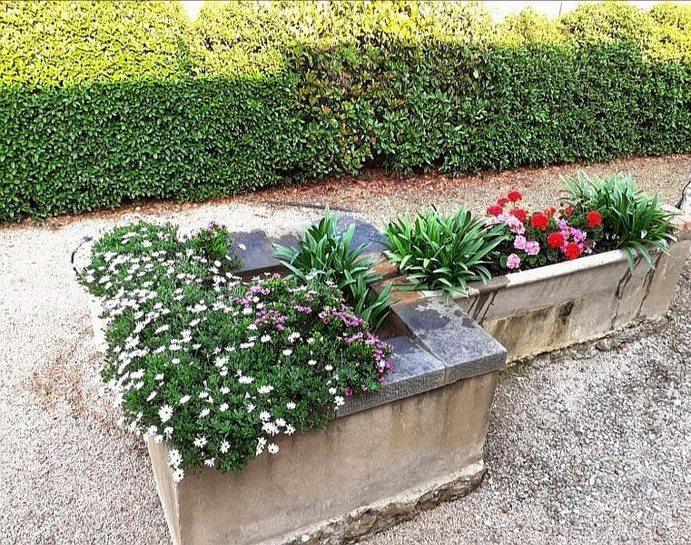 Agriturismo Boschetto Di Montiano Montiano  Extérieur photo
