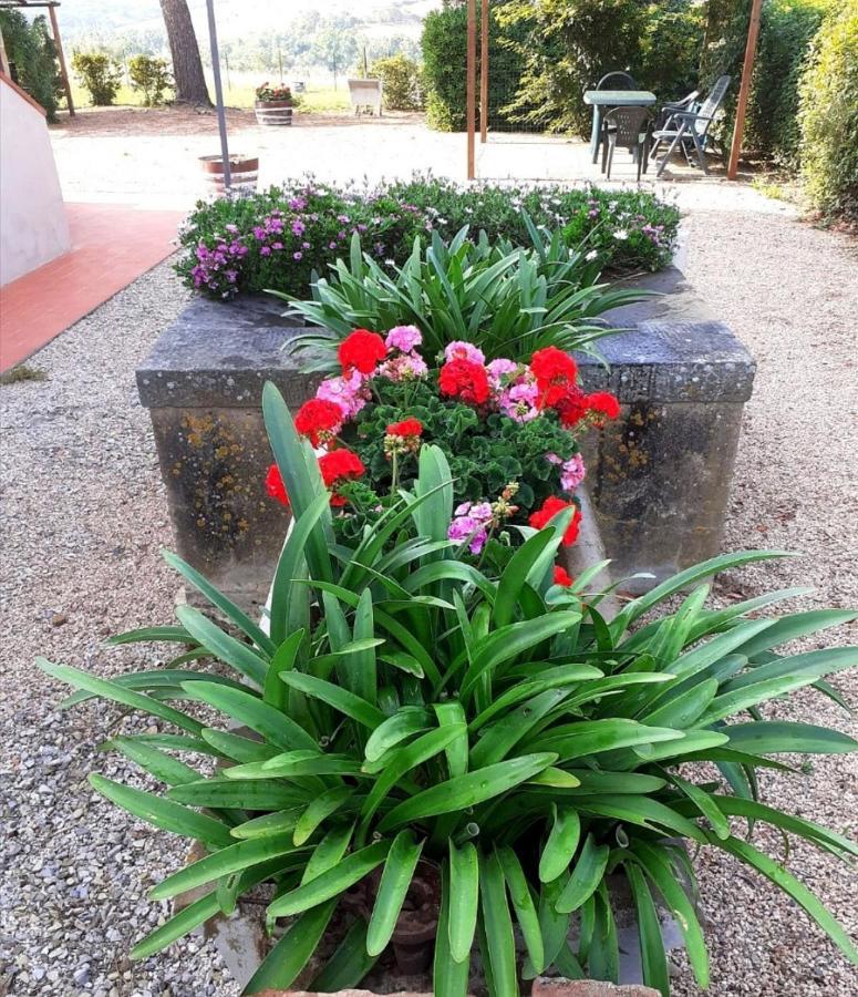 Agriturismo Boschetto Di Montiano Montiano  Extérieur photo
