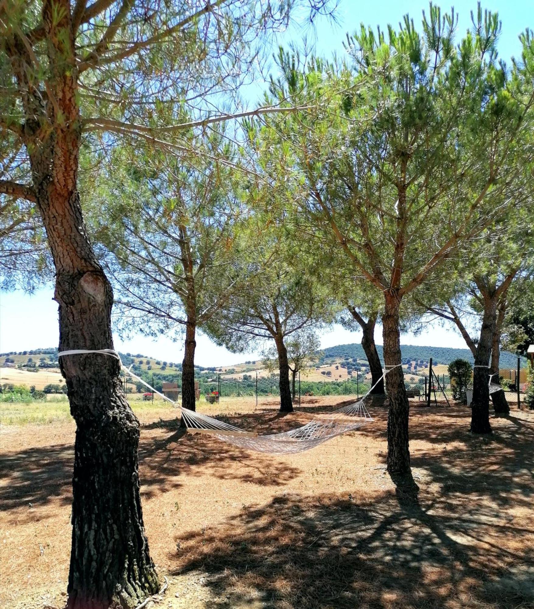 Agriturismo Boschetto Di Montiano Montiano  Chambre photo