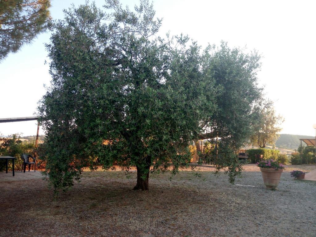 Agriturismo Boschetto Di Montiano Montiano  Extérieur photo