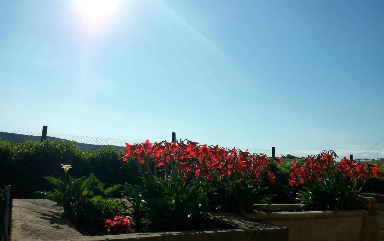 Agriturismo Boschetto Di Montiano Montiano  Extérieur photo