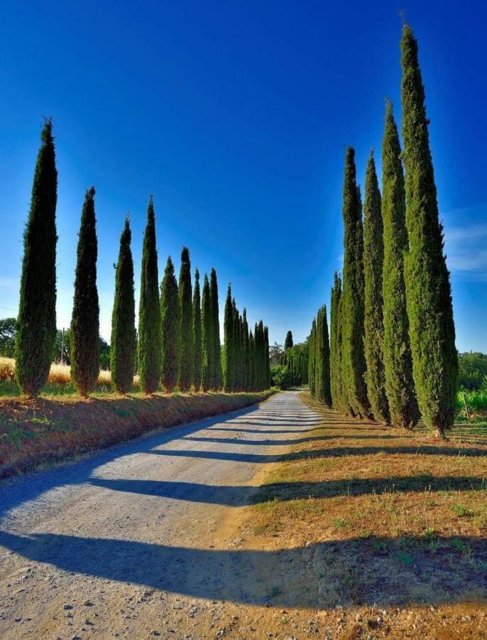 Agriturismo Boschetto Di Montiano Montiano  Extérieur photo